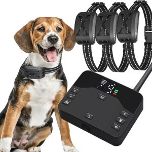 Wireless electric dog fence, pet boundary containment system with rechargeable waterproof receiver, adjustable dog training collar, electric dog boundary container