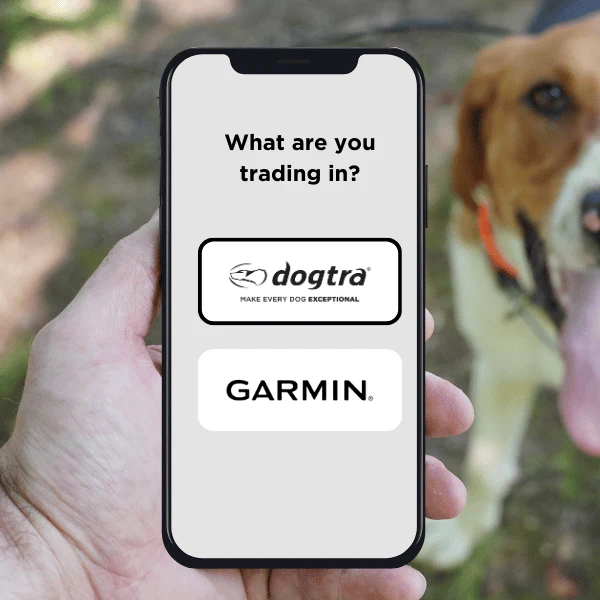 What_are_you_trading_in_1