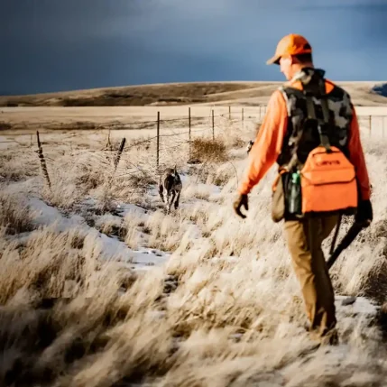 Dogtra_Blog_GPS_Hunting
